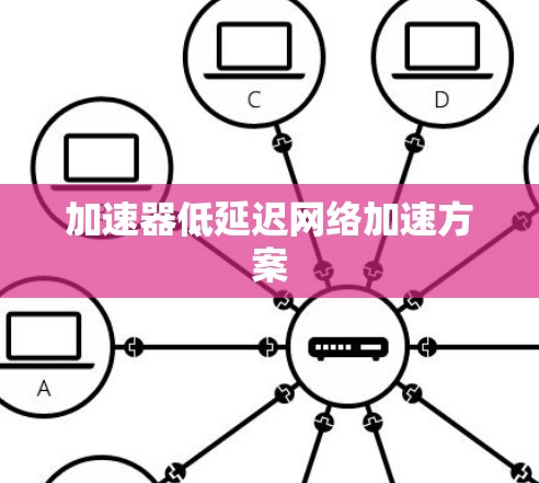 加速器低延迟网络加速方案