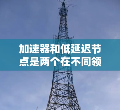 加速器和低延迟节点是两个在不同领域的技术术语，它们在实际应用中有着密切的结合。以下是它们的详细解释和结合
