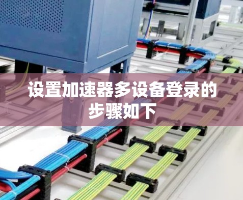 设置加速器多设备登录的步骤如下