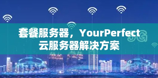 套餐服务器，YourPerfect云服务器解决方案