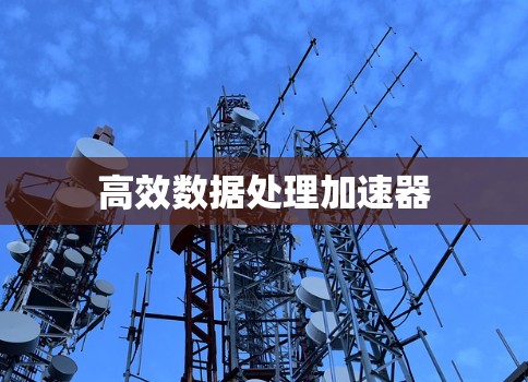高效数据处理加速器