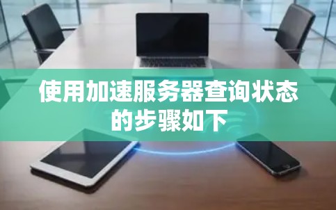 使用加速服务器查询状态的步骤如下