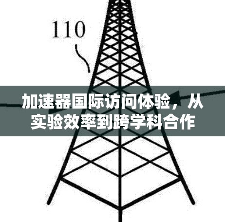 加速器国际访问体验,从实验效率到跨学科合作的探索