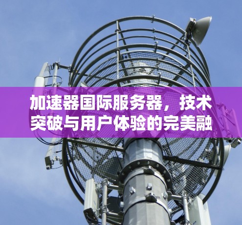 加速器国际服务器，技术突破与用户体验的完美融合