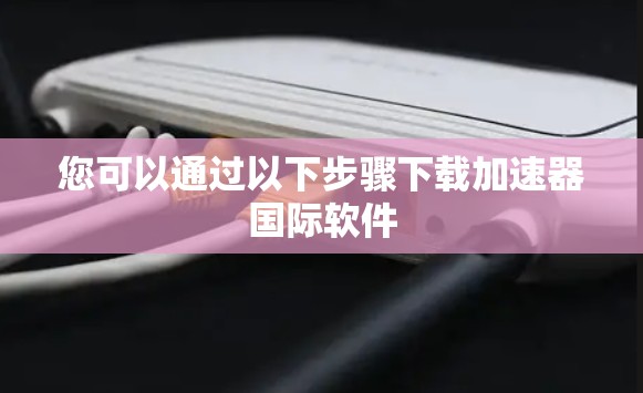 您可以通过以下步骤下载加速器国际软件