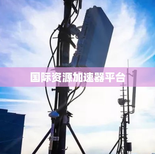 国际资源加速器平台
