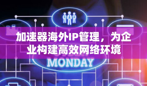 加速器海外IP管理，为企业构建高效网络环境