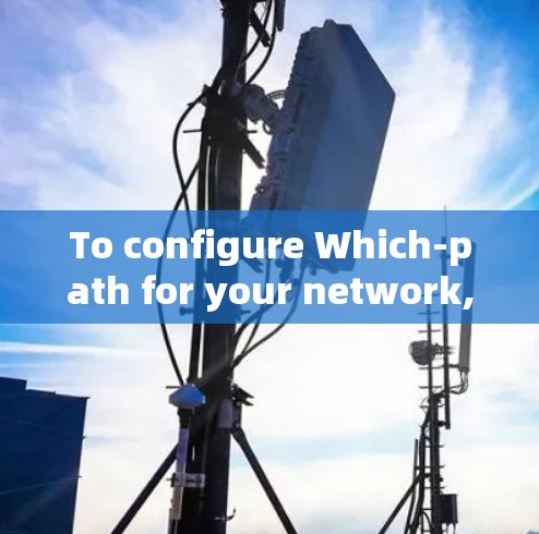To configure Which-path for your network,follow these steps: