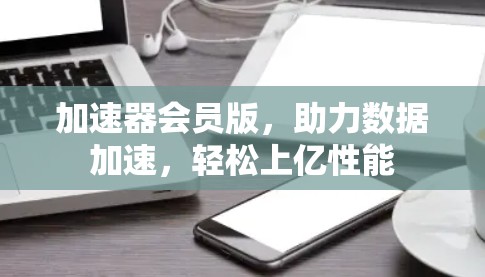 加速器会员版，助力数据加速，轻松上亿性能