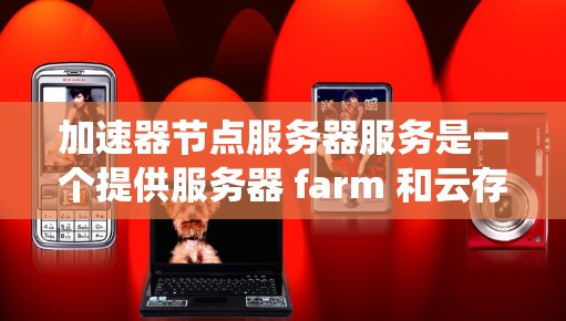 加速器节点服务器服务是一个提供服务器 farm 和云存储功能的系统，主要应用于快速网络访问的需求。以下是该服务的详细信息