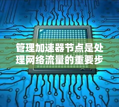 管理加速器节点是处理网络流量的重要步骤，以下是详细的步骤指南