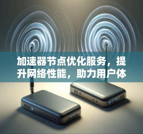 加速器节点优化服务,提升网络性能,助力用户体验